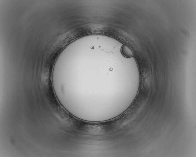 X0000113920698200910090936