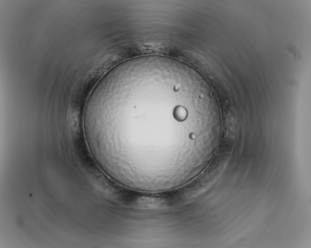 X0000113920699200910090936