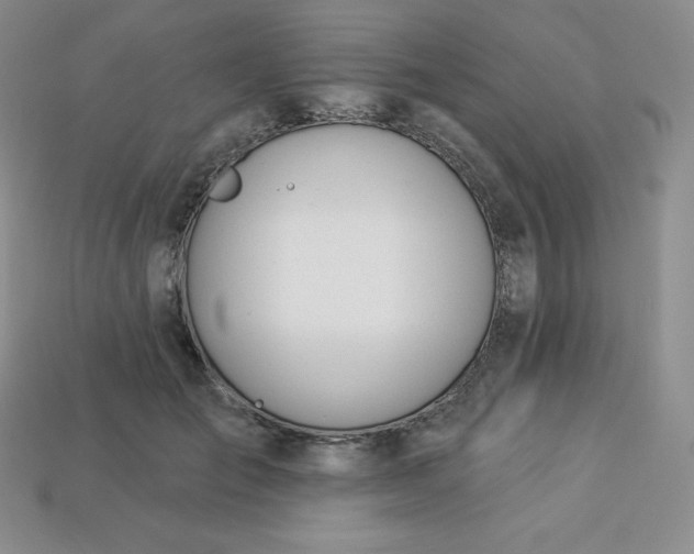 X0000113920701200910090936