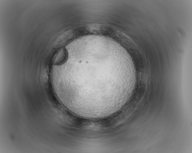 X0000113920702200910090936