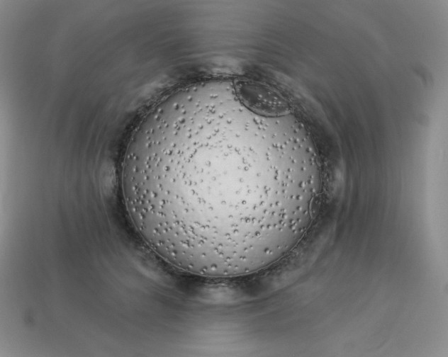 X0000113920704200910090936