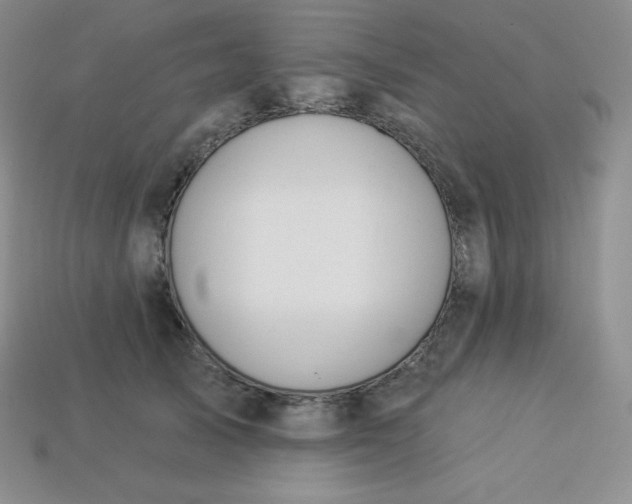 X0000113920705200910090936