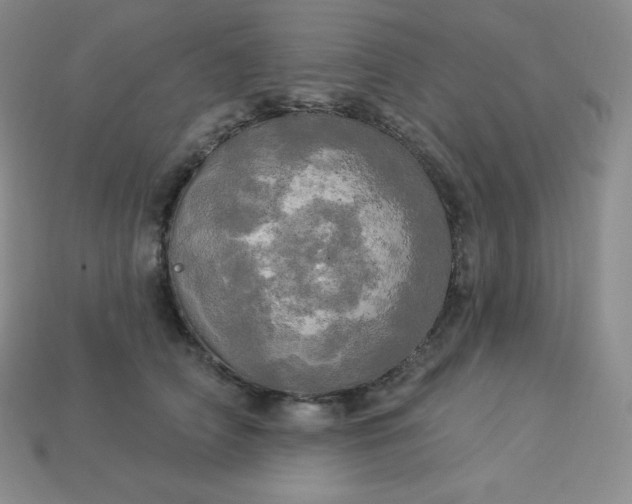 X0000113920706200910090936