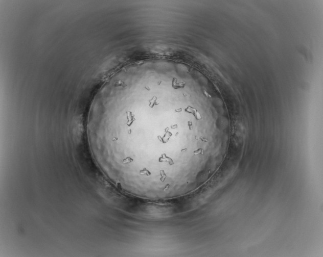 X0000113920707200910090936