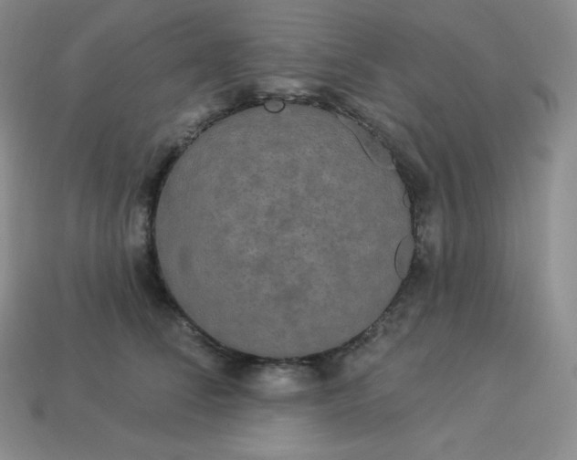 X0000113920708200910090936