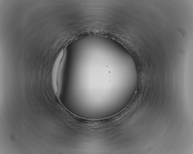 X0000113920709200910090936