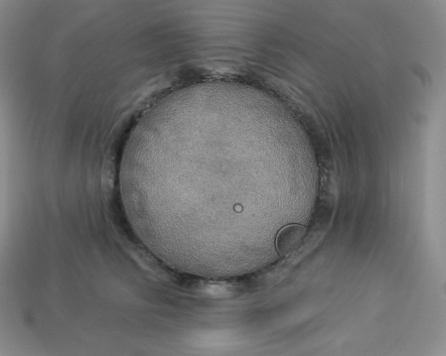 X0000113920710200910090936