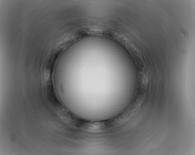 X0000113920711200910090936