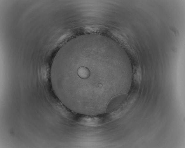 X0000113920712200910090936