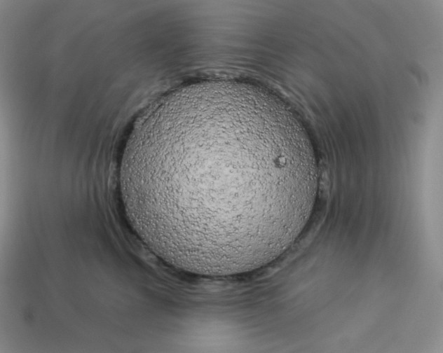 X0000113920713200910090936