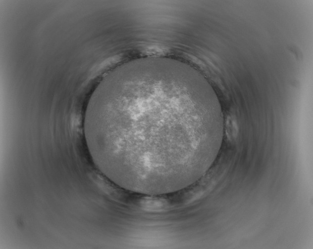 X0000113920714200910090936