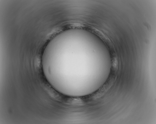 X0000113920715200910090936