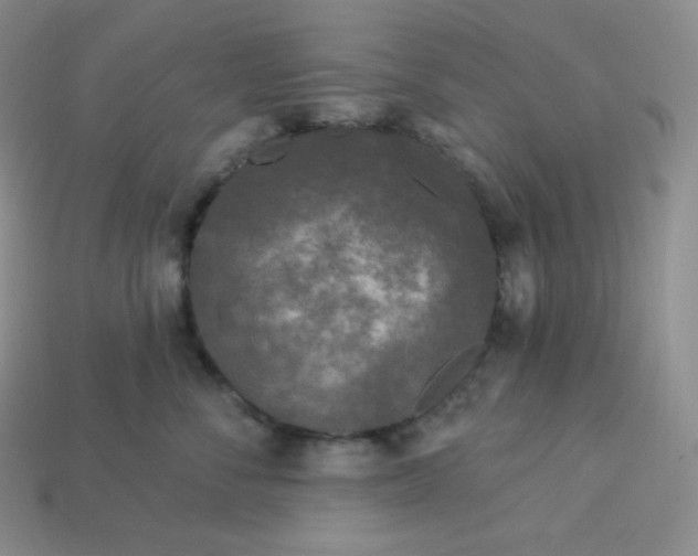 X0000113920716200910090936