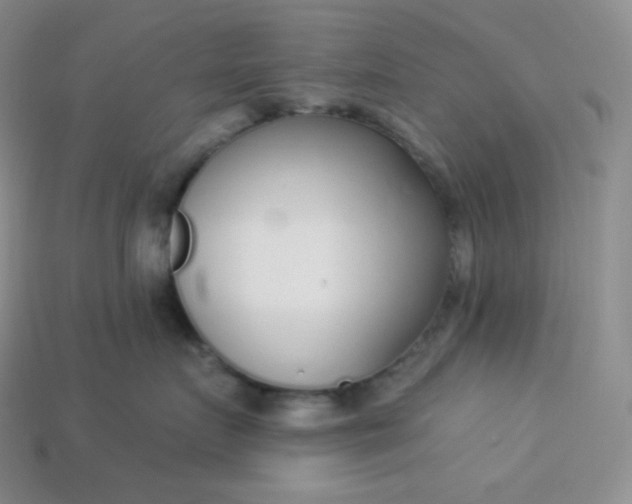 X0000113920719200910090936