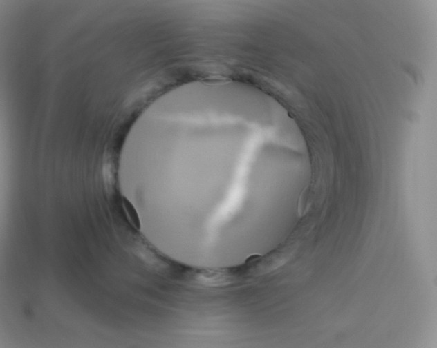 X0000113920720200910090936