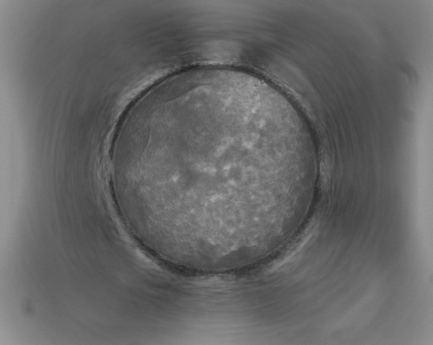 X0000113920721200910090935
