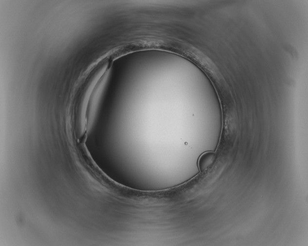 X0000113920722200910090935