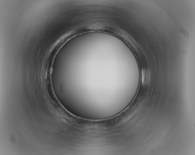 X0000113920723200910090935
