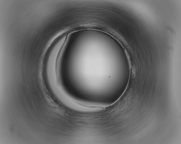 X0000113920724200910090935