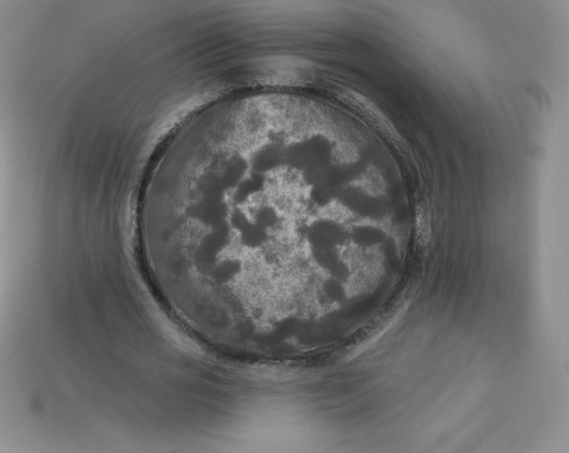X0000113920725200910090935