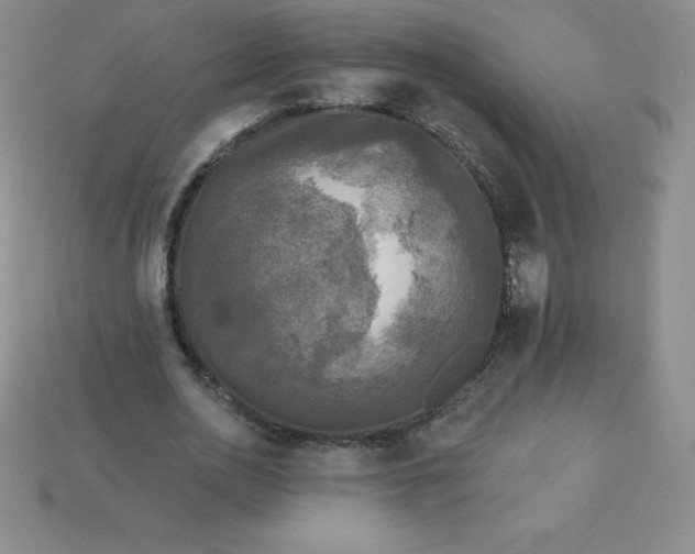 X0000113920726200910090935