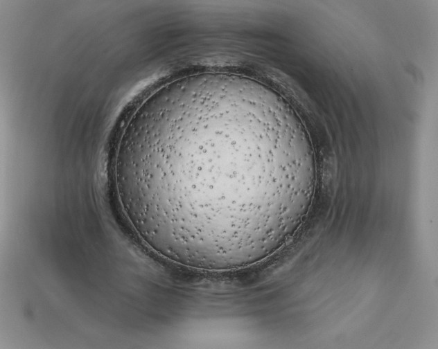 X0000113920727200910090935