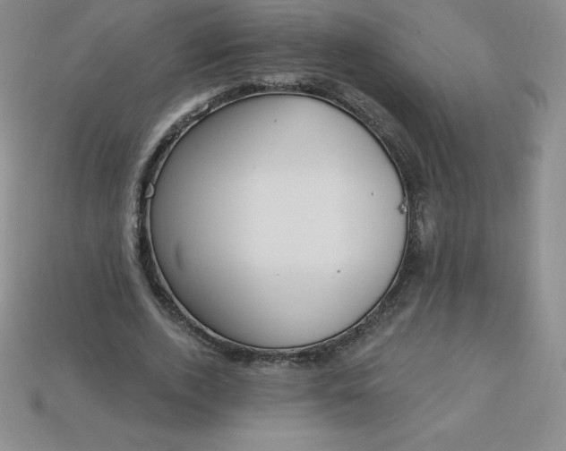 X0000113920728200910090935