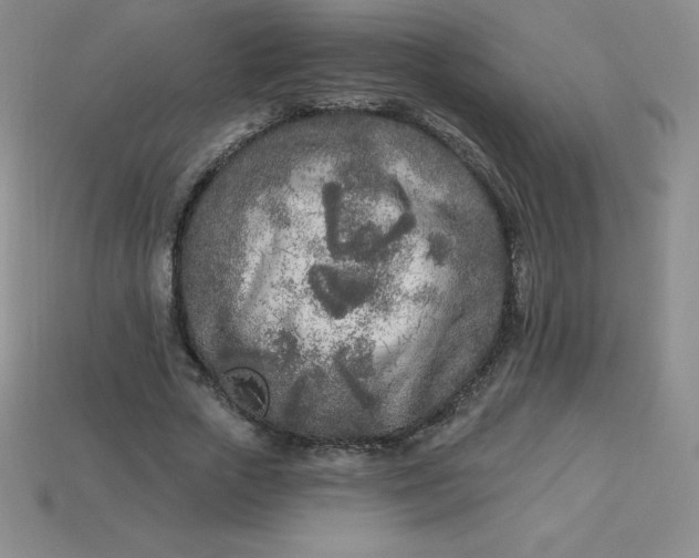 X0000113920729200910090935