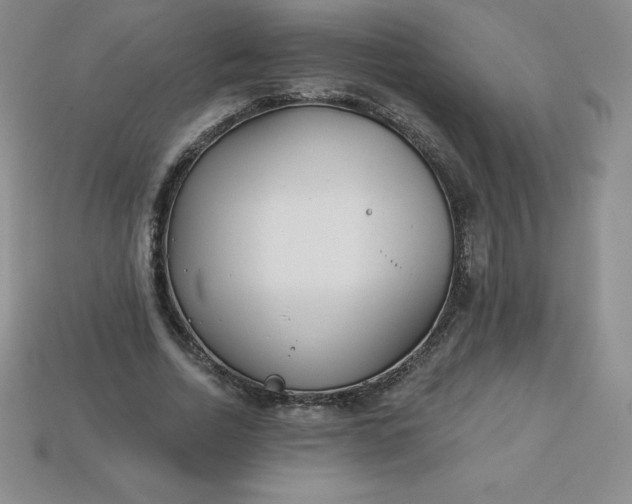 X0000113920730200910090936