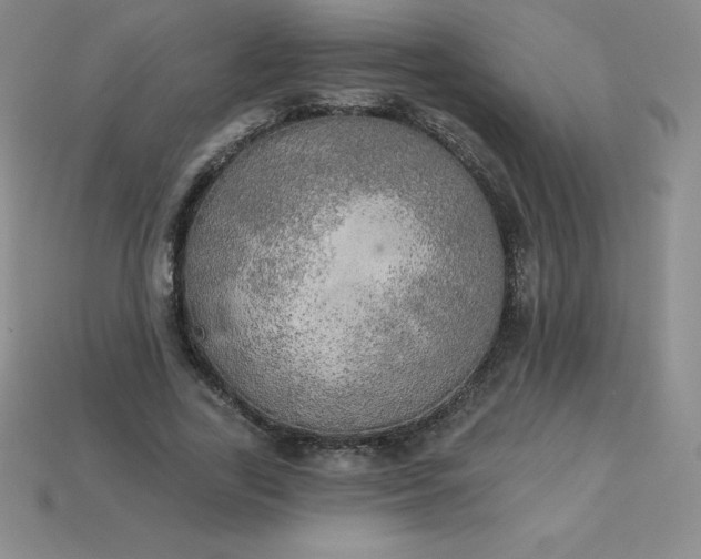 X0000113920731200910090936