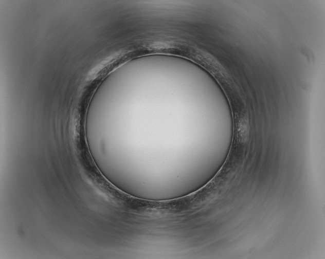 X0000113920732200910090936