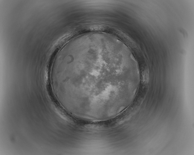 X0000113920733200910090936