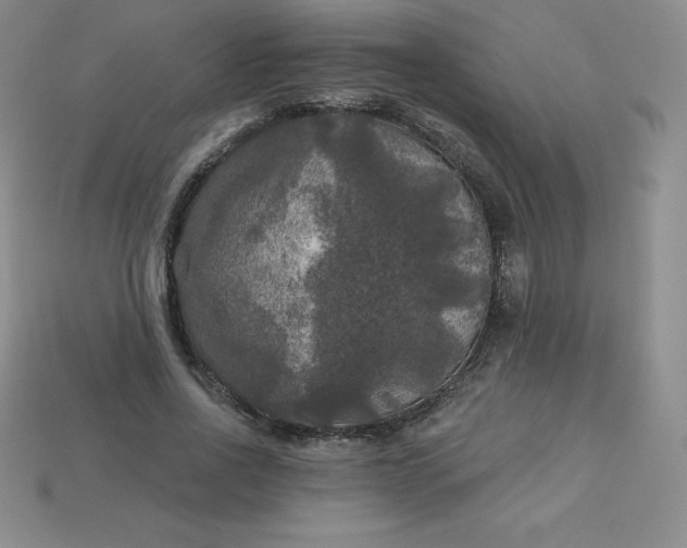 X0000113920734200910090936