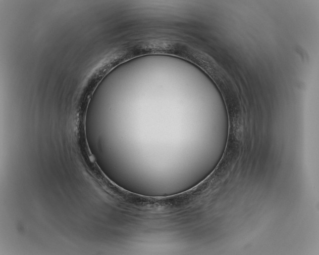 X0000113920735200910090936