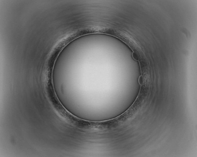 X0000113920736200910090936