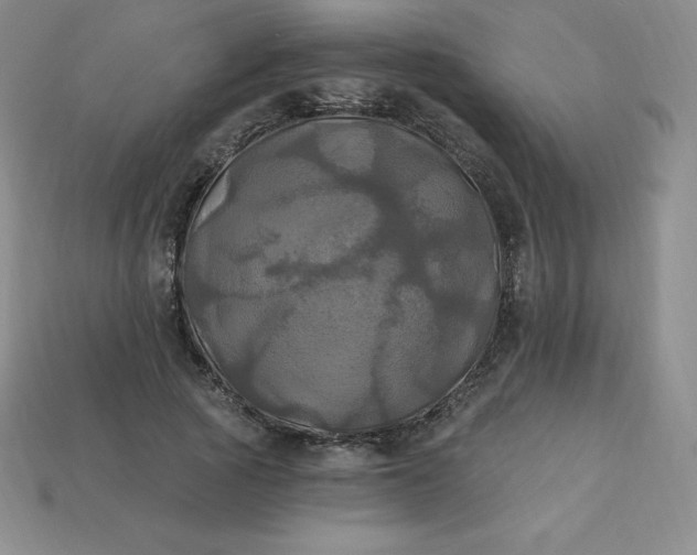 X0000113920737200910090936