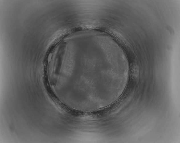 X0000113920738200910090936