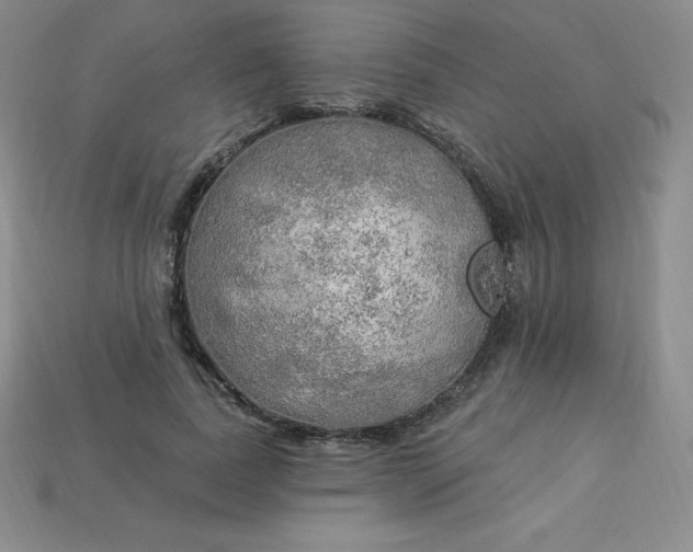 X0000113920739200910090936
