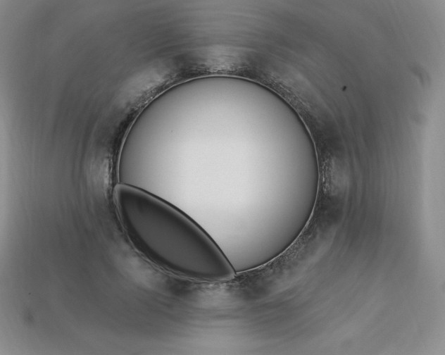 X0000113920740200910090936