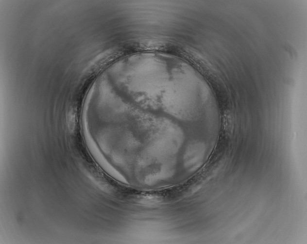 X0000113920741200910090936