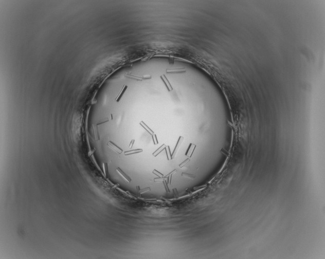 X0000113920742200910090936