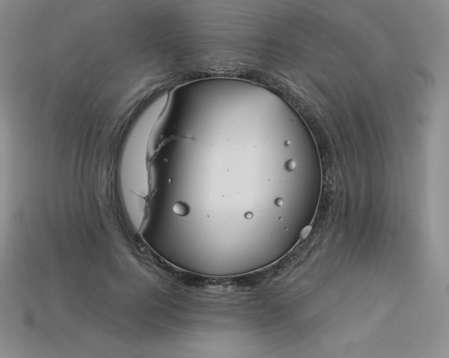X0000113920744200910090936