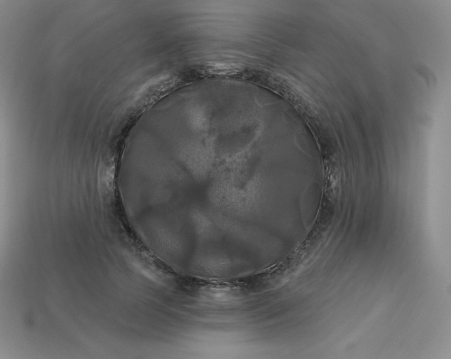 X0000113920745200910090936