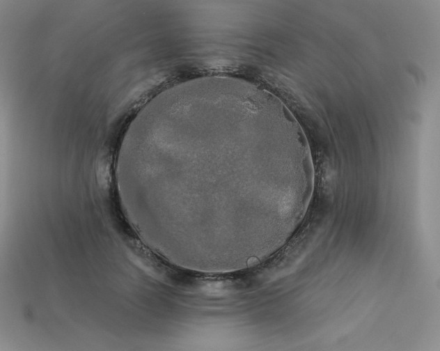 X0000113920746200910090936