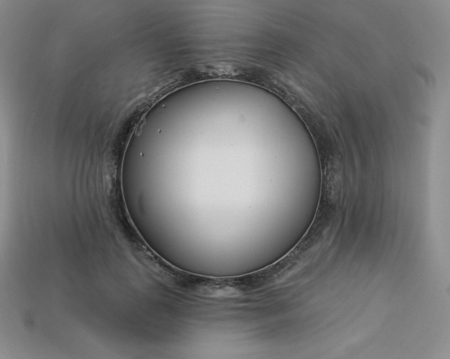 X0000113920747200910090936