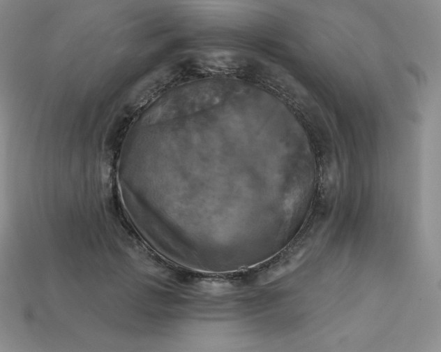 X0000113920749200910090936