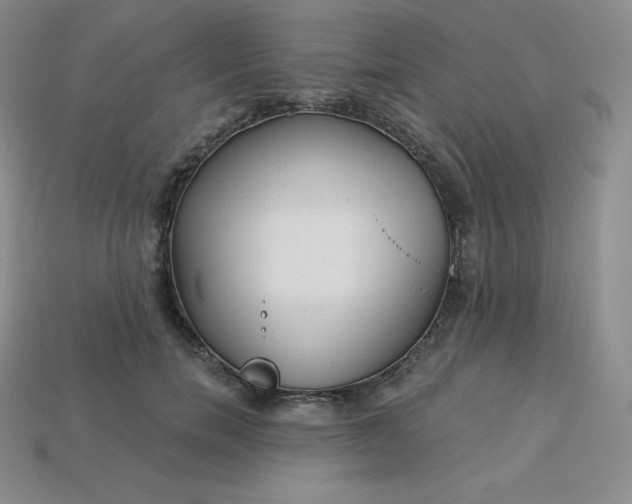 X0000113920750200910090936