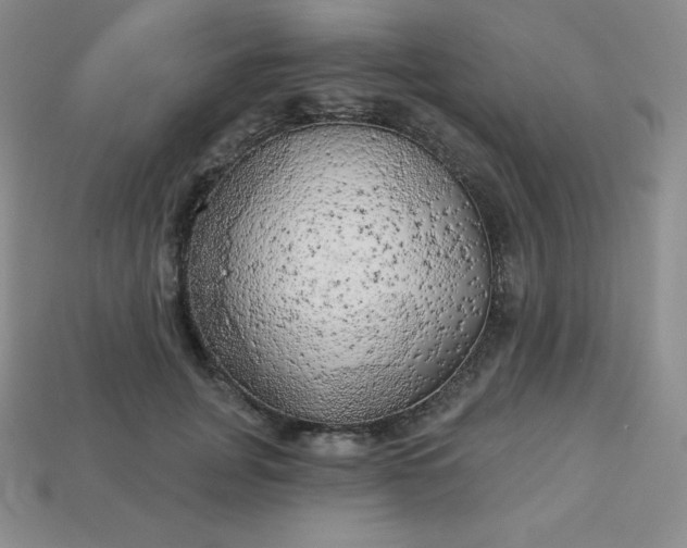 X0000113920751200910090936