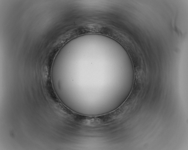 X0000113920752200910090936