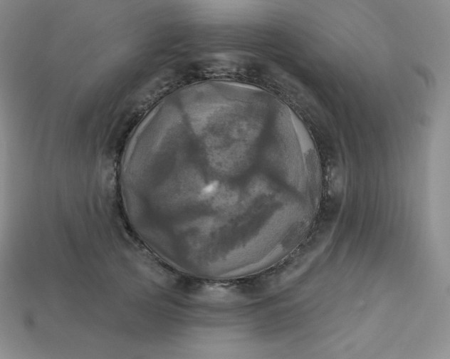 X0000113920753200910090936